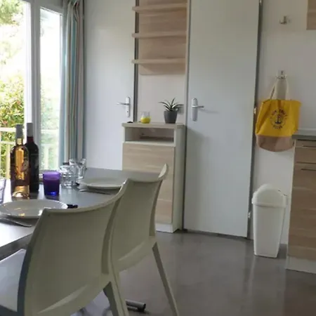 Mobil-home Confortable Avec Terrasse - 6 Pers. - Api-1-52-2168 *